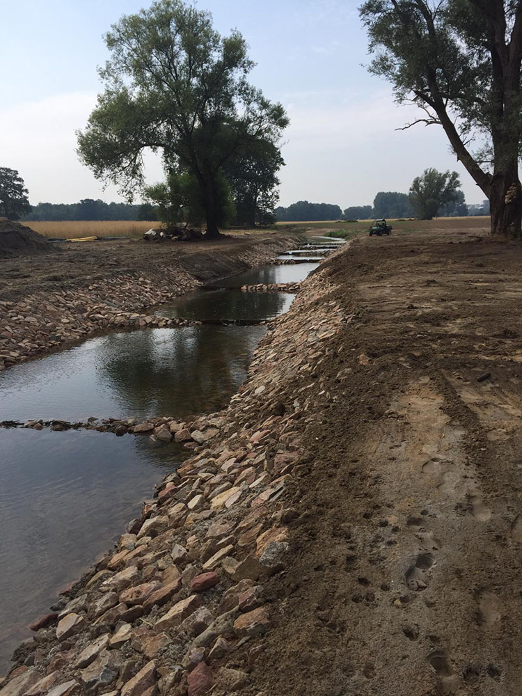 0fefa9fb-c44d-41a3-92d0-5488efcbc549