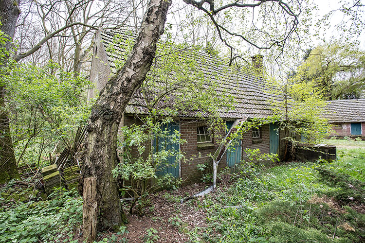 BW Camping Coulisse-3577