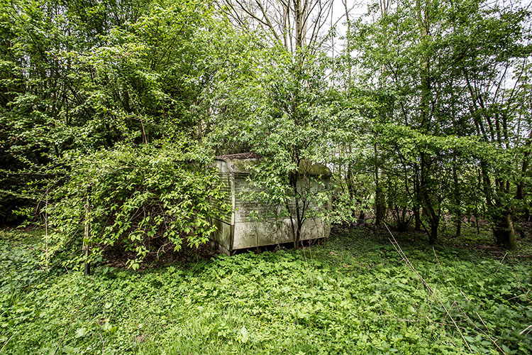 BW Camping Coulisse-3636