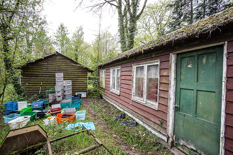 BW Camping Coulisse-3729