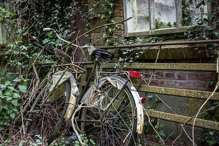 BW Camping Coulisse-9334