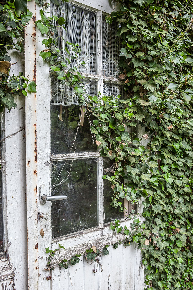 BW Camping Coulisse-9365