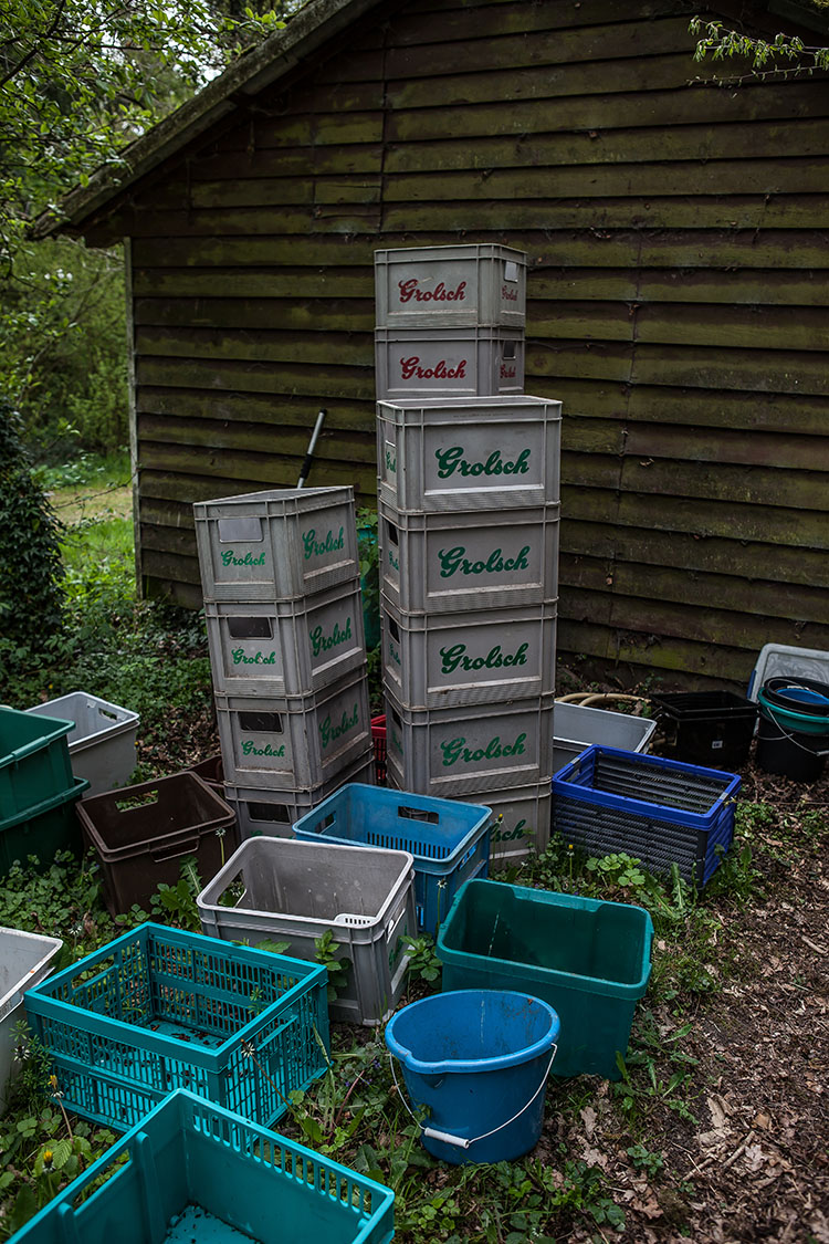 BW Camping Coulisse-9450