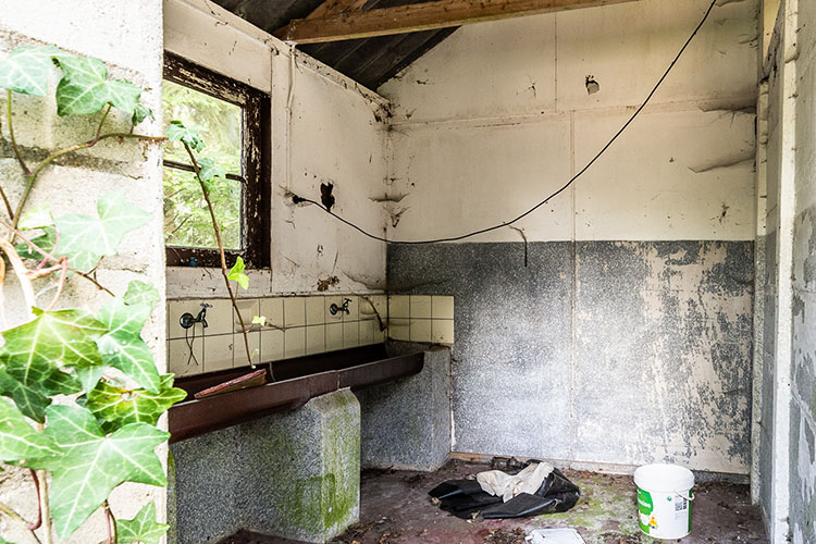 Zenkeldam1-small0591