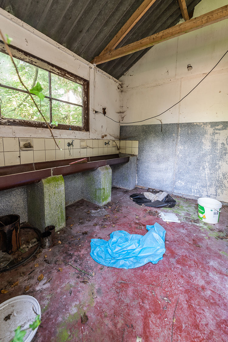 Zenkeldam1-small0593