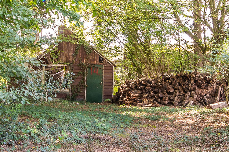 Zenkeldam1-small0596