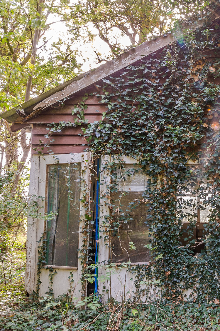 Zenkeldam1-small0602