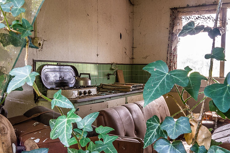 Zenkeldam1-small0613