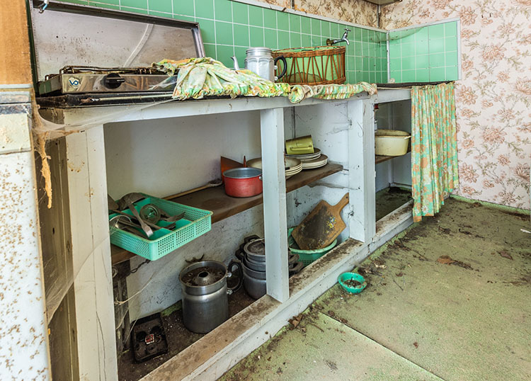 Zenkeldam1-small0624